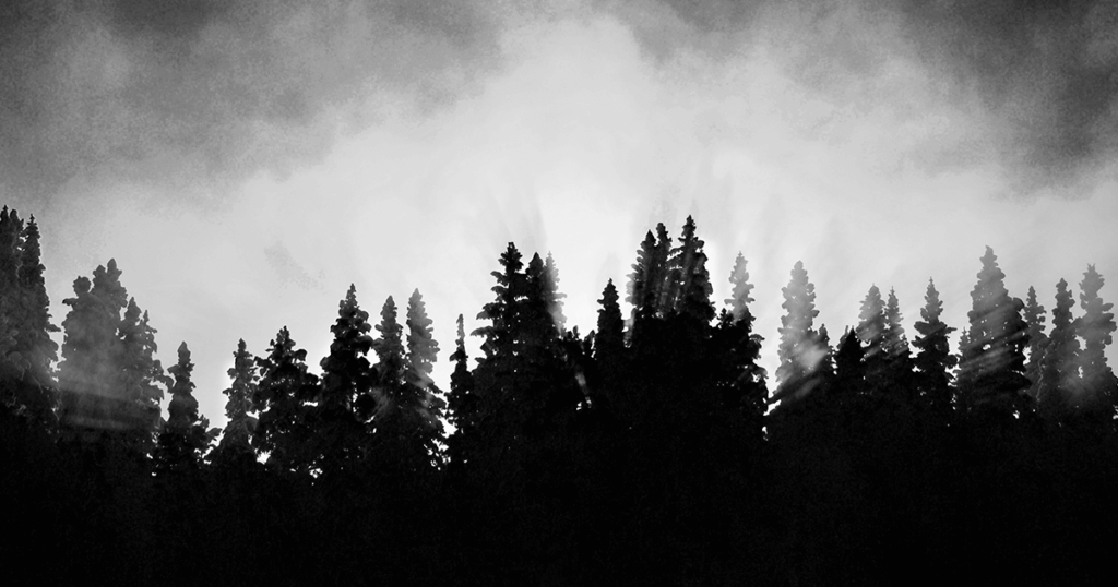 Trees